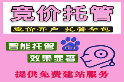 SEM推广代运营案例：行业应用